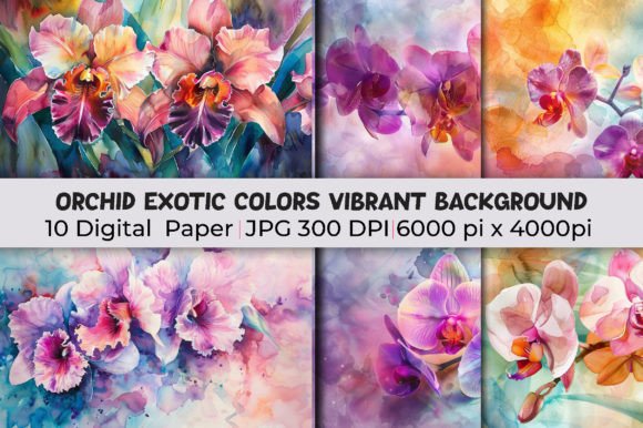 Orchid Exotic Colors Vibrant Backgrounds